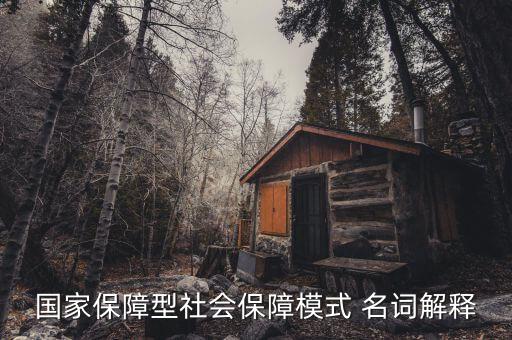 保障型保險什么意思，國家保障型社會保障模式 名詞解釋