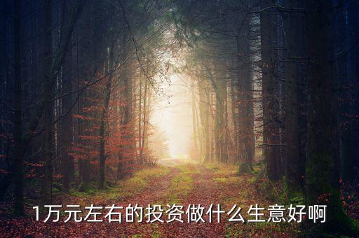 萬(wàn)投資什么好，有10000元錢(qián)拿來(lái)做什么最好或者投資什么最好