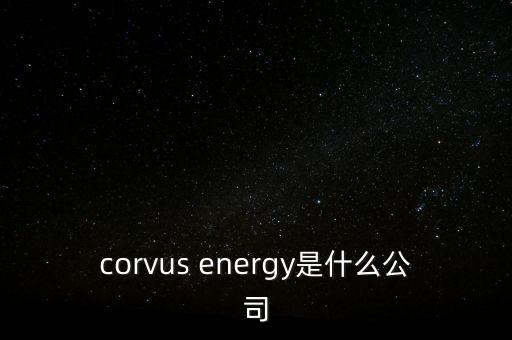 智慧松德是什么公司，corvus energy是什么公司