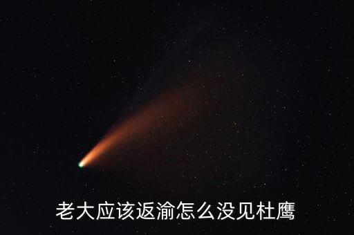 張曉強(qiáng)杜鷹為什么，發(fā)改委副主任杜鷹是誰的孩子