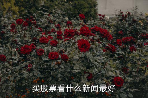 炒股看什么看什么財(cái)經(jīng)，有什么比較好的推薦股票的財(cái)經(jīng)節(jié)目