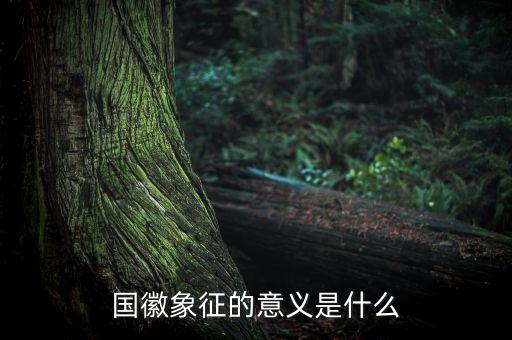 國琪意義是什么，國徽象征的意義是什么