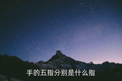 五指最后小指是什么指，五指 怎么分別