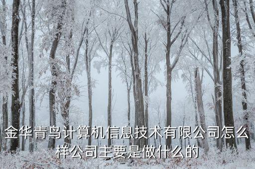 青鳥華光是做什么的，送機(jī)員是做什么的