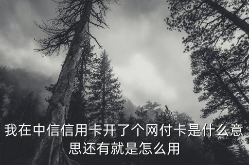 中信銀行網(wǎng)付卡是什么，中信銀行信用卡網(wǎng)付卡