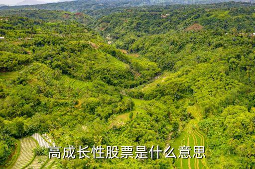 什么是高成長股票，高增長型股票是甚么意思