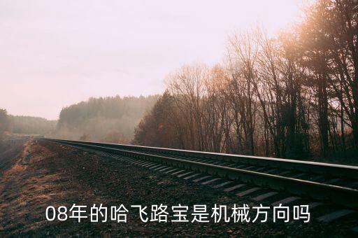 哈飛集團用什么專業(yè)，08年的哈飛路寶是機械方向嗎