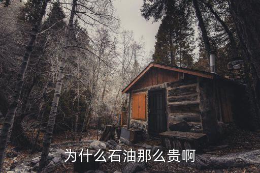 石油為什么這貴，石油為何那么貴