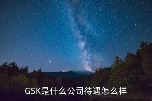 gsk公司的價(jià)值觀是什么，GSK是什么意思