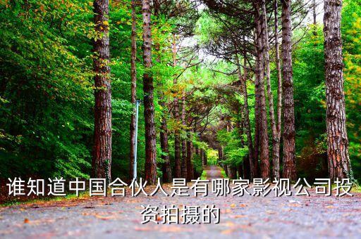 黃曉明投資公司叫什么，誰知道中國合伙人是有哪家影視公司投資拍攝的