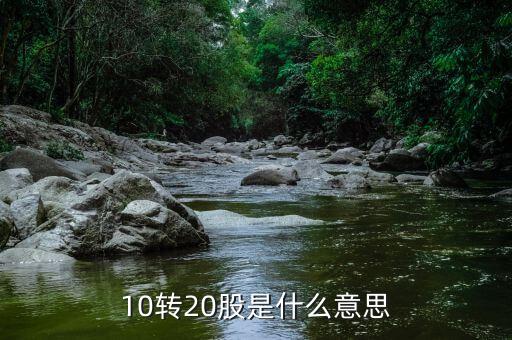 10轉(zhuǎn)增20是什么意思，股票 10派2轉(zhuǎn)增20是什么意思