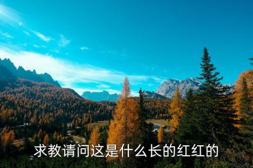 楊定平是什么的會長，誰知道華東交大大二的軟件工程部長也許叫會長是誰叫什么名字