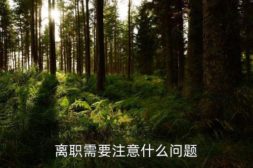 華北制藥辭職需要注意什么，辭職應該注意些什么呢