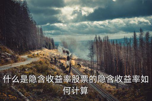 亞普汽車什么時候上市，誰知道隱含收益率是咋的回事的啊