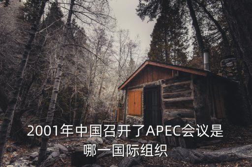中國(guó)舉行合作論壇首次論壇是什么，論壇是什么