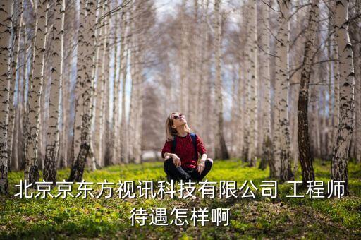 京東方視迅是什么公司，北京京東方視訊科技有限公司 工程師待遇怎樣啊