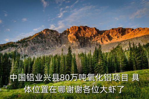 中鋁蔡安輝什么級別，中國鋁業(yè)興縣80萬噸氧化鋁項(xiàng)目 具體位置在哪謝謝各位大蝦了