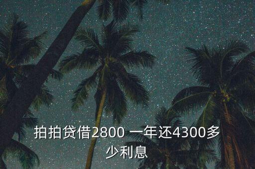 什么是拍拍貸，拍拍貸借2800 一年還4300多少利息