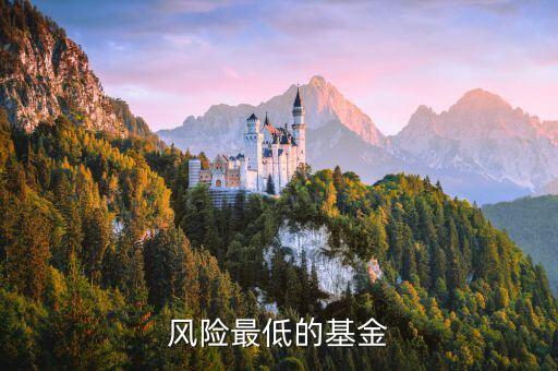 什么基金風(fēng)險最低，風(fēng)險最低的基金