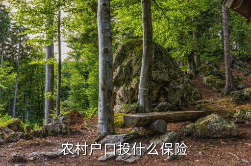 農(nóng)村買的保險(xiǎn)是什么保險(xiǎn)，農(nóng)民需要買什么保險(xiǎn)