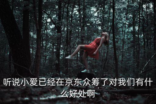 京東jimi機器人有什么作用，jimi 是什么意思