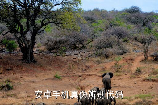 三星夢想課堂是什么，權(quán)相宇的檔案資料