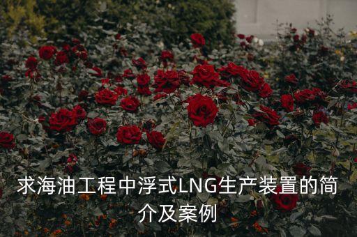 什么是浮式lng項(xiàng)目，什么是浮式LNG