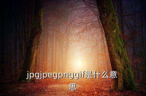 什么是代價比率，JPG文件會有病毒嗎