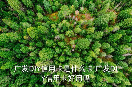 什么是diy信用卡，廣發(fā)DIY信用卡是什么卡 廣發(fā)DIY信用卡好用嗎