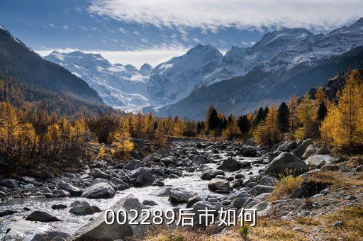 聶新勇持股什么，除了馮毅天龍集團的其他股東是誰