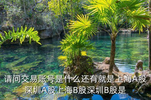 股東賬號(hào)是什么，請(qǐng)問(wèn)交易賬號(hào)是什么還有就是上海A股深圳A股上海B股深圳B股是
