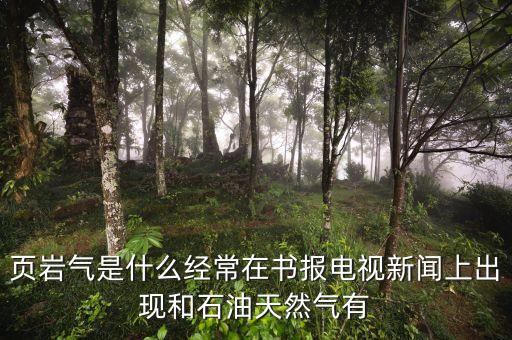 頁(yè)巖氣和天然氣有什么不同，頁(yè)巖氣與煤層氣的區(qū)別