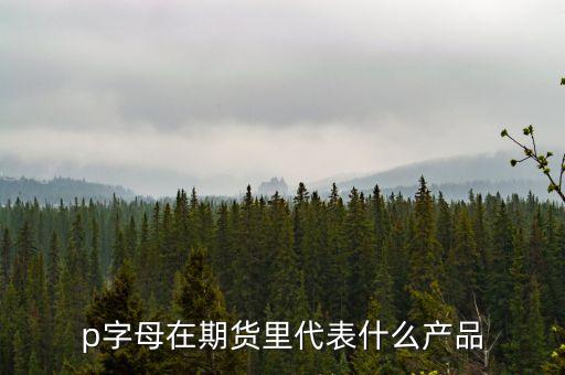 pp是什么期貨，聚丙烯期貨是什么