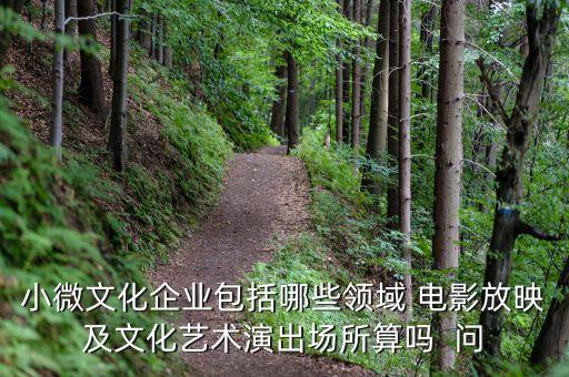 小微文化企業(yè)具體指什么，小微文化企業(yè)包括哪些領域 電影放映及文化藝術演出場所算嗎  問