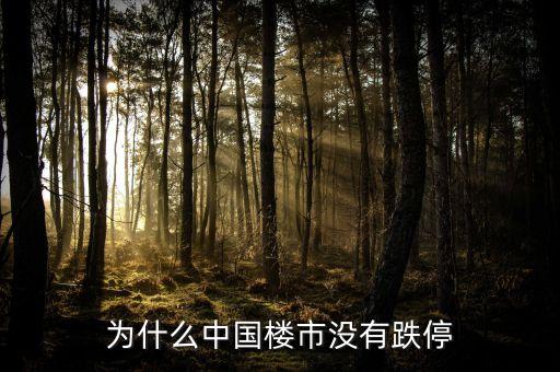 為什么中國房地產(chǎn)不崩盤，為什么中國樓市沒有跌停