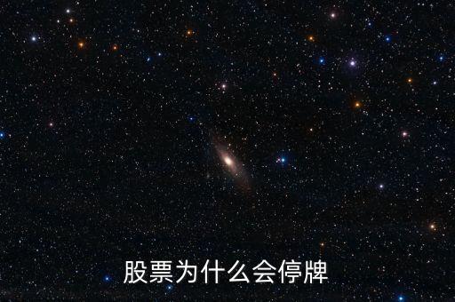 002163為什么停牌，股票為什么會停牌