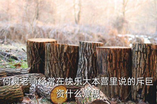 赤巨資是什么意思，赤巨資是什么意思能解釋一下嗎