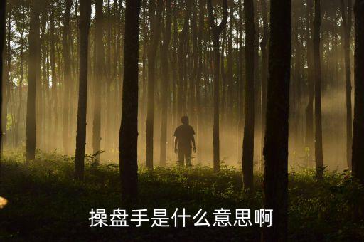 股票里操盤手聯(lián)盟是什么意思，有哪位高人可以給我詳細(xì)解釋下操盤手是什么意思
