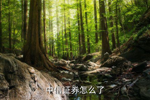 郭志榮為什么離開中信，中信證券怎么了