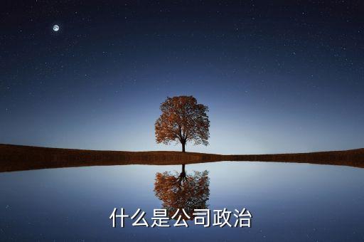什么事公司控制權(quán)，什么是公司政治