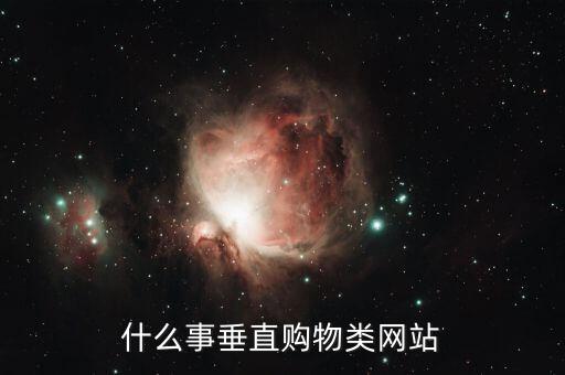什么是垂直商城，o2o垂直商城是什么