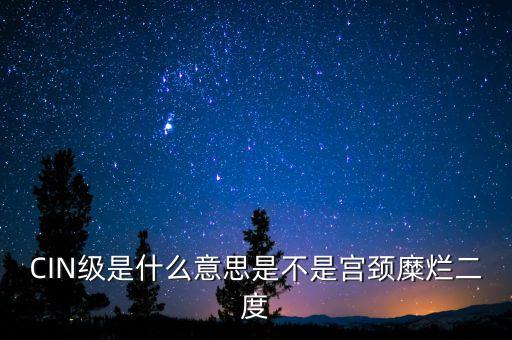 海泰宮靖是什么級別，CIN級是什么意思是不是宮頸糜爛二度