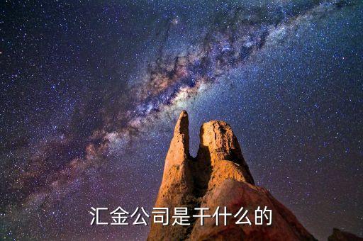 深圳惠程為什么匯金進(jìn)駐，匯金公司是怎么回事