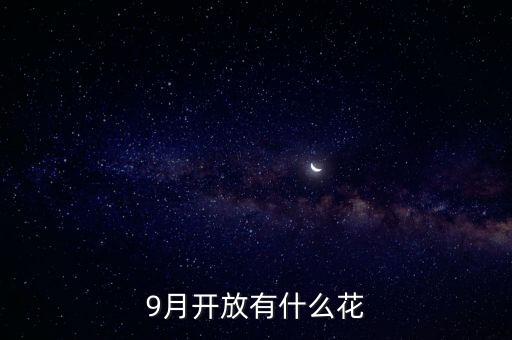 九月什么花經(jīng)路放，9月開放有什么花