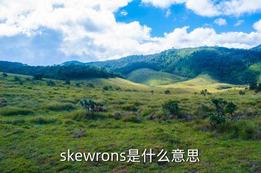 skewrons是什么品牌，伯思凱是什么牌子