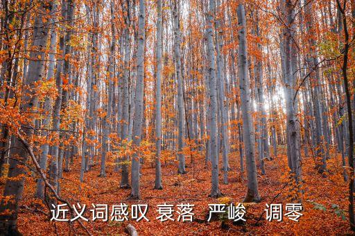 調(diào)零的近義詞是什么，近義詞感嘆 衰落  嚴峻   調(diào)零