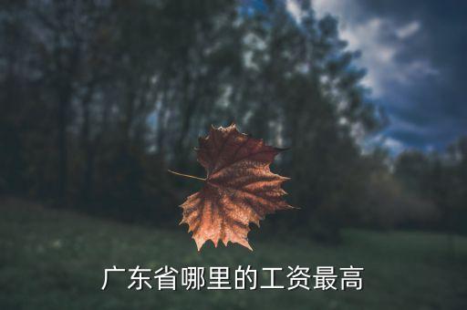 廣東工資最高什么地方，廣東什么地方打工工資最高