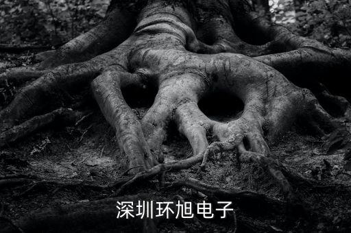 環(huán)旭電子經(jīng)營什么，上海環(huán)旭電子有限公司在什么地方