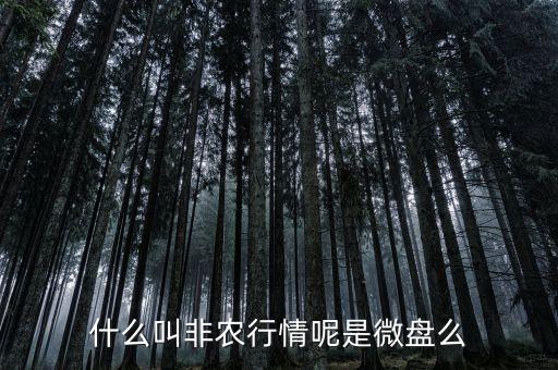 非農(nóng)是什么股票，股票非農(nóng)是什么意思