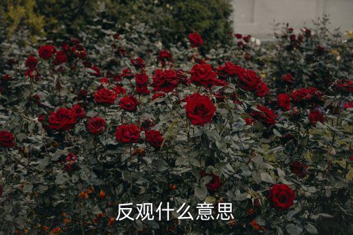 反觀當(dāng)下是什么意思，求英語大神翻譯反觀當(dāng)下